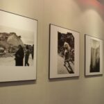 mostra terremoto valva