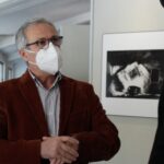 sindaco valva vito falcone