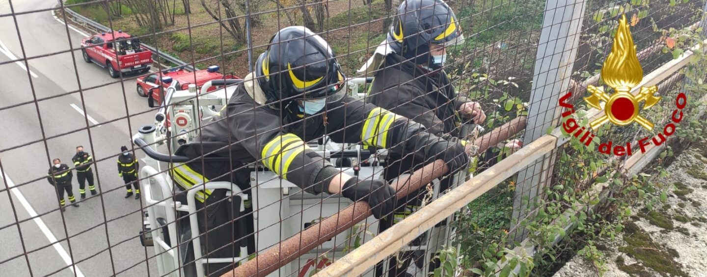 FOTO / Avellino, tubolari pericolanti sul viadotto della variante: intervengono i pompieri