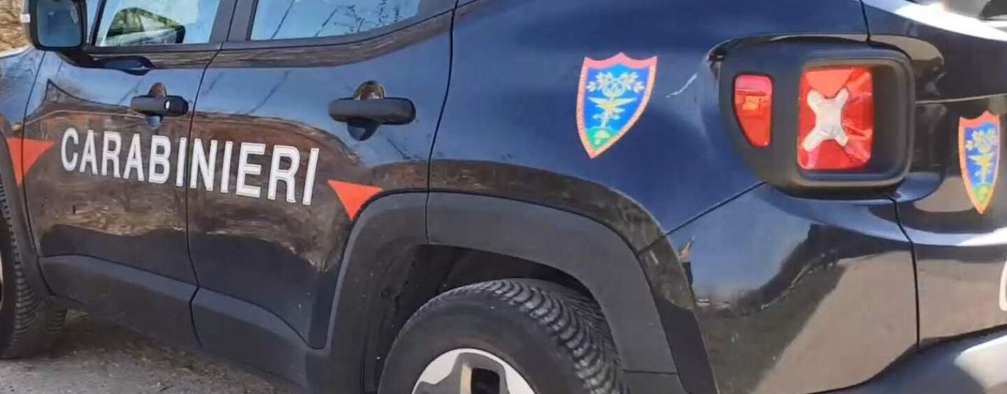 Marzano di Nola, opere edilizie abusive: denunciata una persona e sequestrata area di circa 1.300 metri quadri