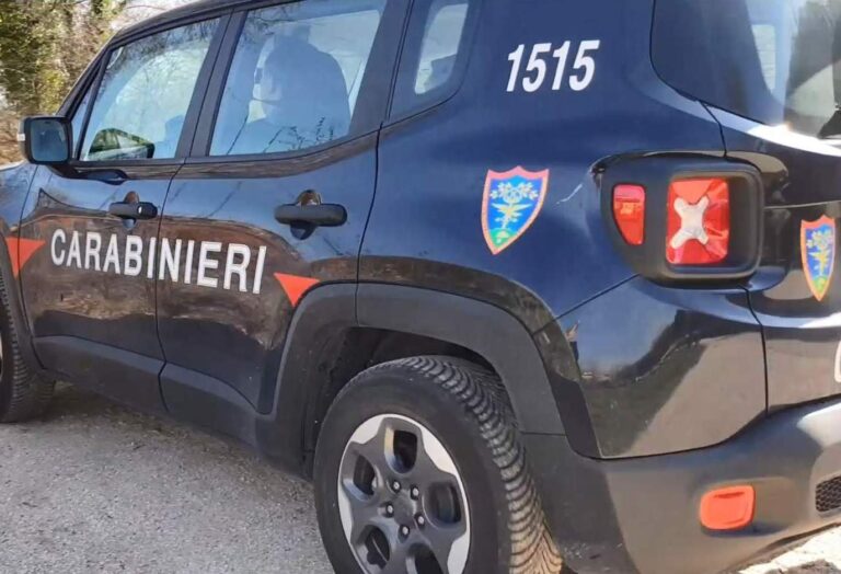 Marzano di Nola, opere edilizie abusive: denunciata una persona e sequestrata area di circa 1.300 metri quadri