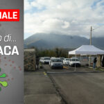 cronaca