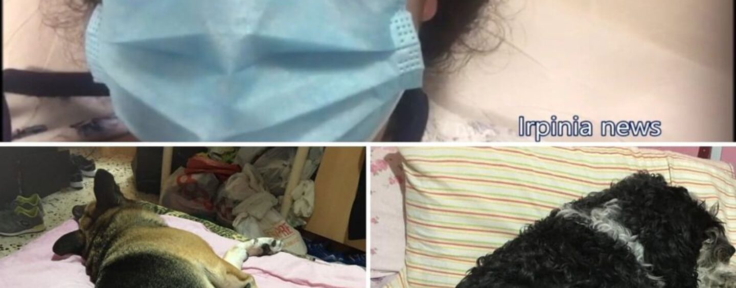 Avellino, salvati i cani rimasti soli in casa, la proprietaria era ricoverata col Covid