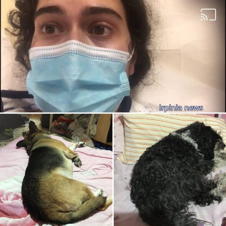 Avellino, salvati i cani rimasti soli in casa, la proprietaria era ricoverata col Covid