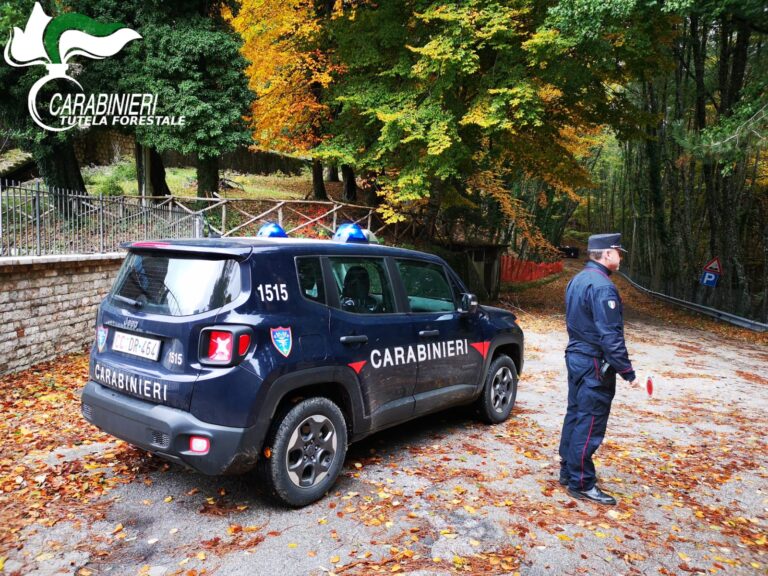 Con le moto da cross nell’area protetta del Parco del Partenio: Carabinieri sulle loro tracce