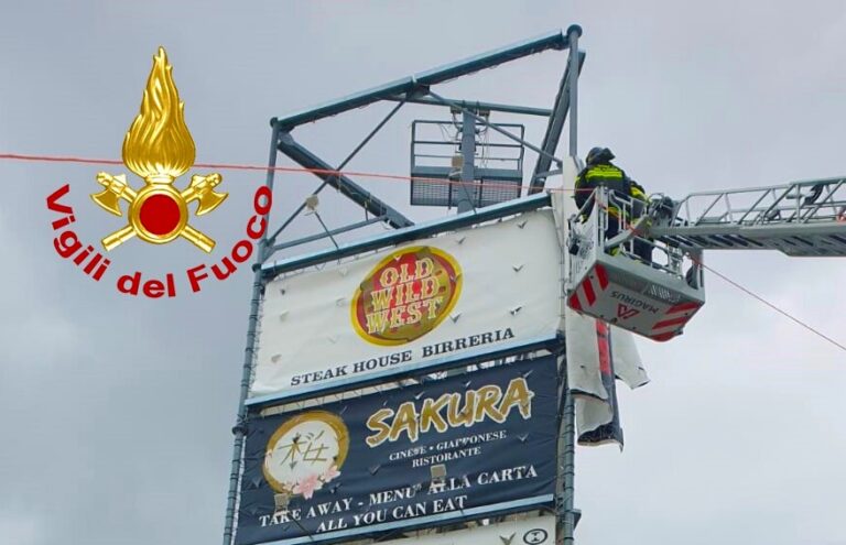 FOTO / Maltempo in Irpinia, alberi caduti e tegole divelte: decine di interventi dei vigili del fuoco