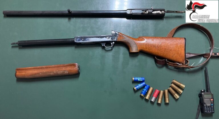 Benevento, battuta caccia di cinghiali illegale: squadra di bracconieri nei guai