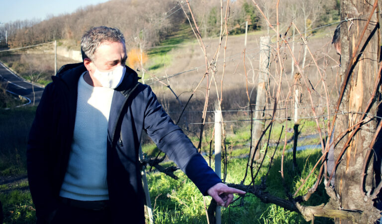 Il Covid non ferma i corsi di potatura, formazione in sicurezza grazie al Consorzio di Tutela Vini d’Irpinia
