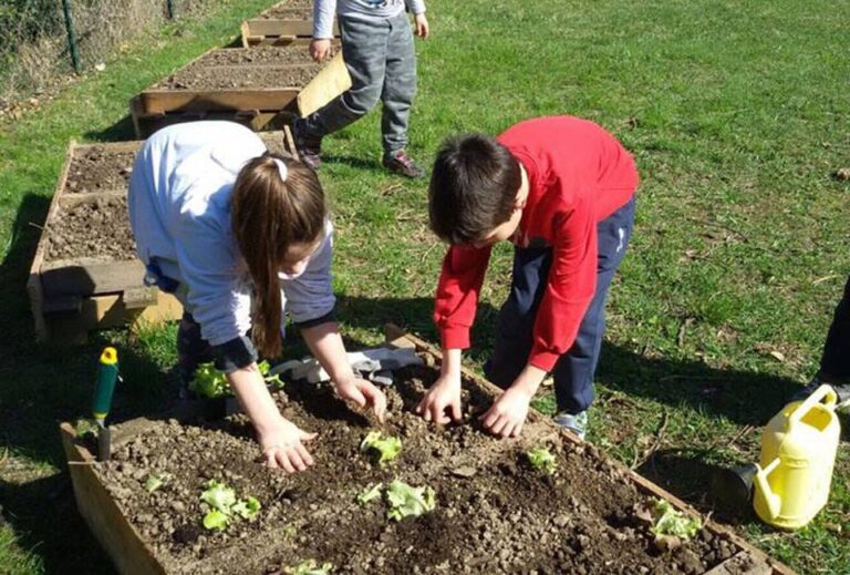 Scuola innovativa: a Salza Irpina parte il progetto “Orto didattico interattivo”