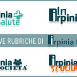 Grafica copia