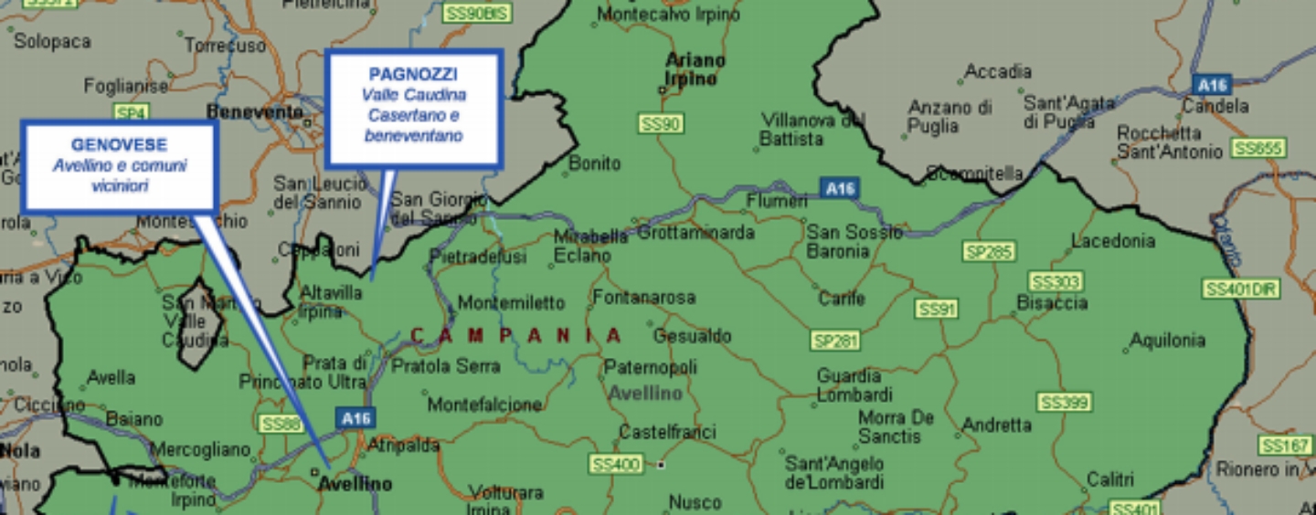 “Clan attivi in Irpinia, seppur ridimensionati dalle inchieste”. Ecco la relazione semestrale della Dia