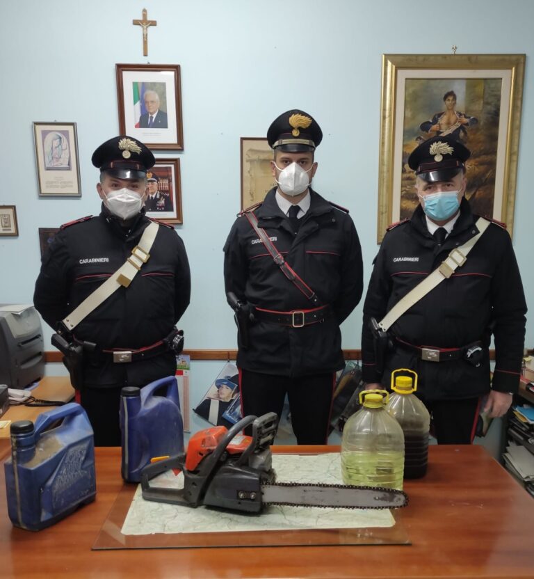 Arpaia, furto di legname: arrestato un 48enne