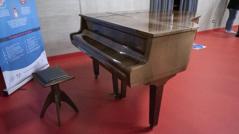 Al Cimarosa suonerà il Grand Piano Petrof di Mario de Simone