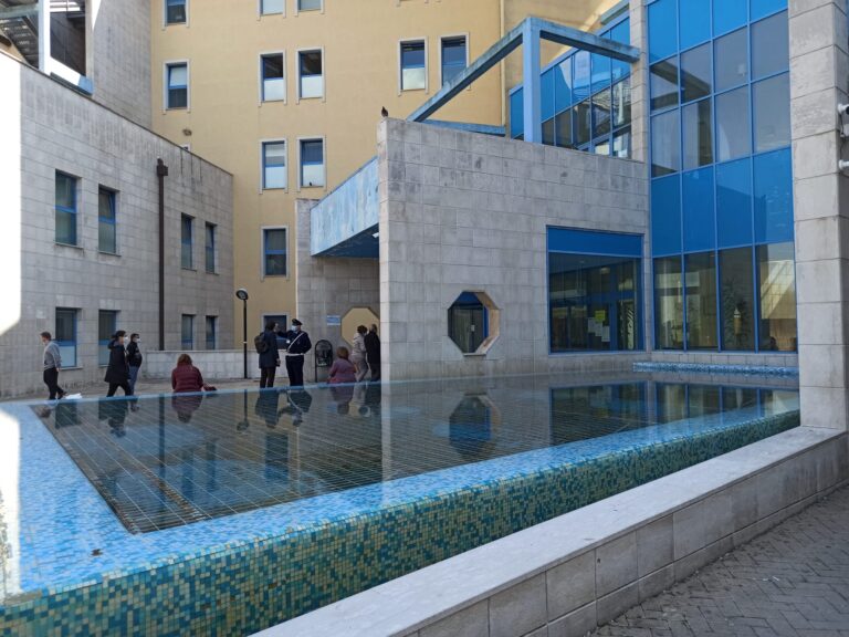 Gravissimo l’operaio caricato da un bufalo: intubato in Rianimazione