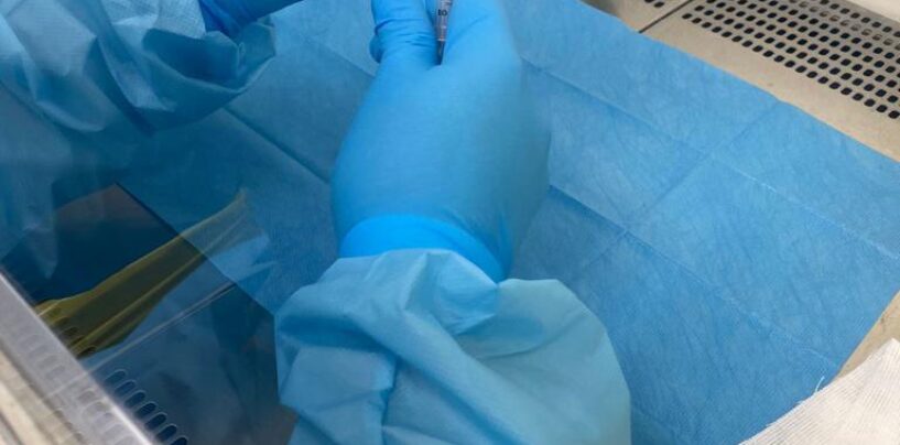 Vaccino anti-Covid: 3.950 le dosi somministrate ieri in Irpinia