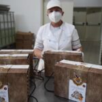 colomba-di-iorio