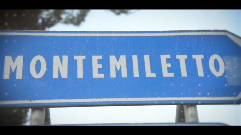 Nasce “Vetrina Montemiletto”, il social commerce dei negozi di vicinato