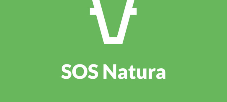 Partenio, il decreto “cattura cinghiali” non convince SOS Natura