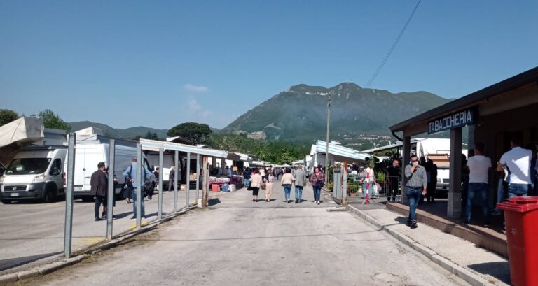 Il Mercato bisettimanale ancora a Campo Genova per il 2025
