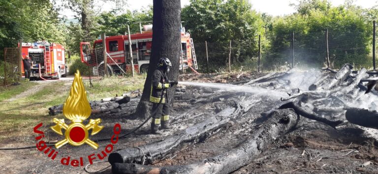 Forino, paura sul Monte Salto: incendio in un fondo comunale