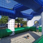 baseball2