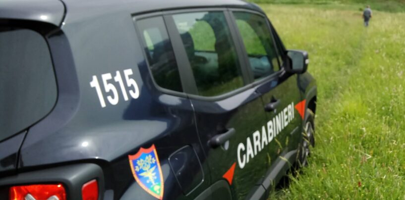 Sant’Agata de’ Goti: allevamento suini abusivo