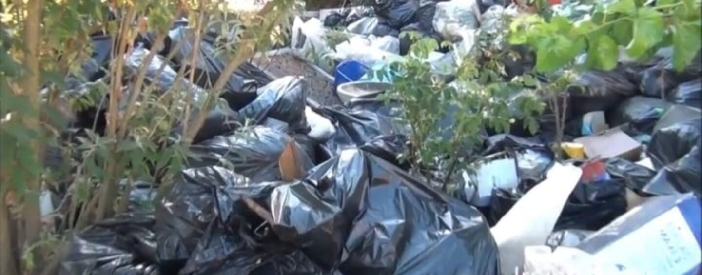 Frigento, centinaia di rifiuti accumulati in un giardino e decine di gatti abbandonati e malati: la protesta dei vicini/VIDEO