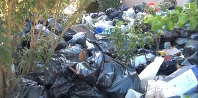 Frigento, centinaia di rifiuti accumulati in un giardino e decine di gatti abbandonati e malati: la protesta dei vicini/VIDEO