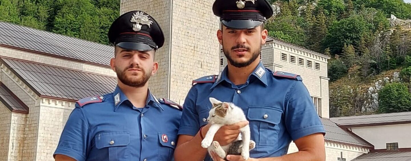 Carabinieri in prima linea a difesa di animali e ambiente, il ringraziamento di “Sos Natura”