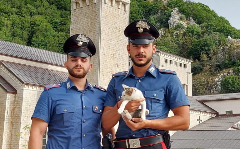 VIDEO/ Gattino precipita in un dirupo a Montevergine, salvato dai Carabinieri in servizio al Santuario