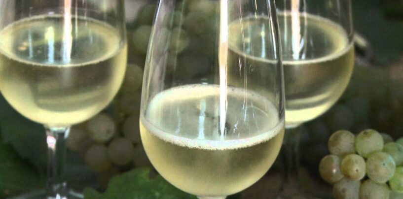 A Santa Paolina è tempo di “Filo Wine Fest”