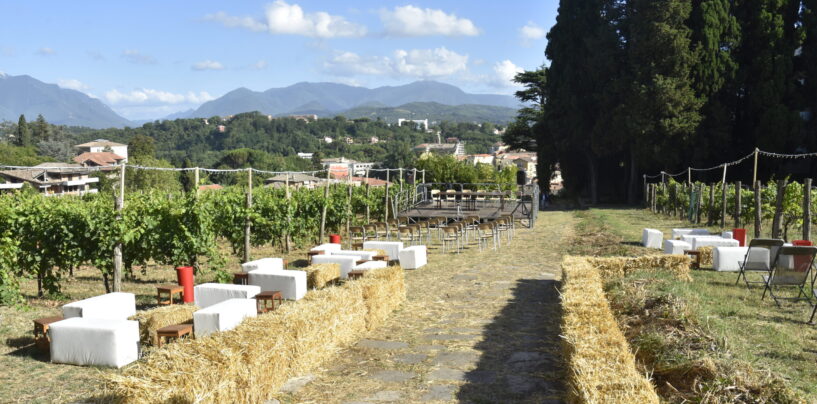 Cucina, cinema, teatro tra i filari: all’Agrario di Avellino è tempo di “ricreazione”