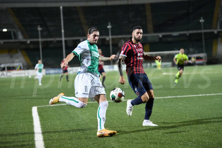 Archiviata la delusione, i lupi tornano in campo a Campobasso: comincia un nuovo campionato