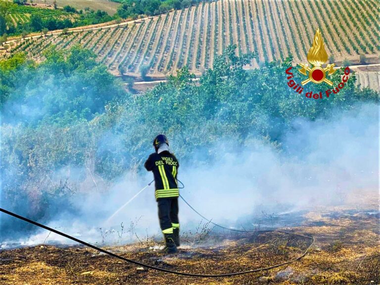 Incendi, da Aquilonia a Castelfranci: oltre 50 interventi dei caschi rossi in Irpinia