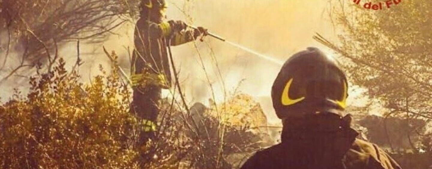 Incendi, situazione complessa a Santa Paolina: i caschi rossi salvano vigne e abitazioni