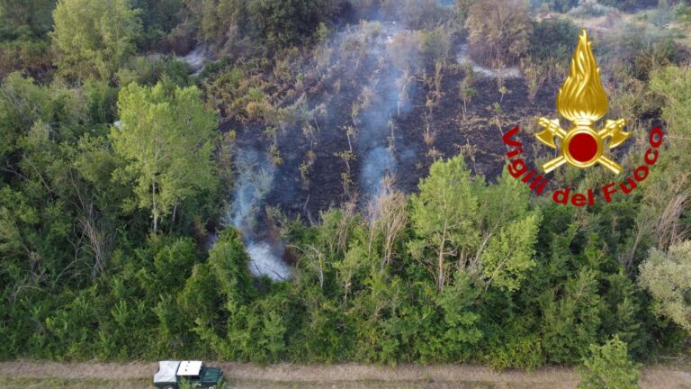 Manocalzati, a fuoco 3mila metri di macchia mediterranea a ridosso delle abitazioni