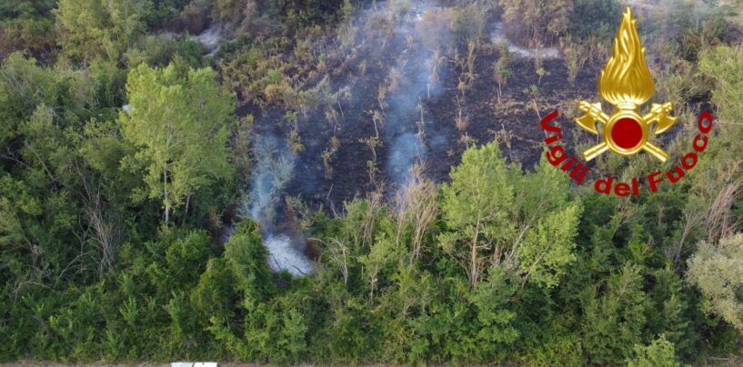 Manocalzati, a fuoco 3mila metri di macchia mediterranea a ridosso delle abitazioni