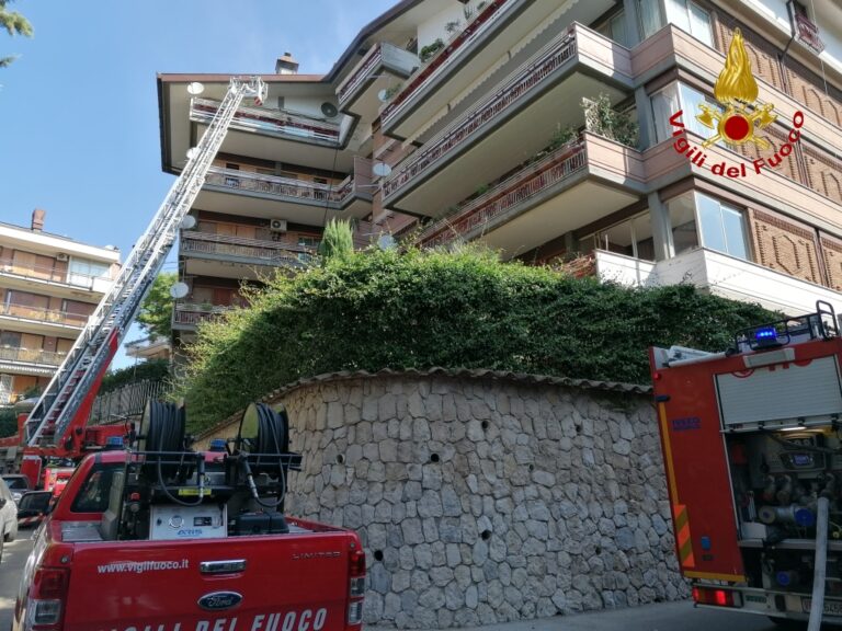 VIDEO E FOTO / Fuoco a Parco Abate, una donna e un pompiere al Pronto Soccorso. Incendio domato