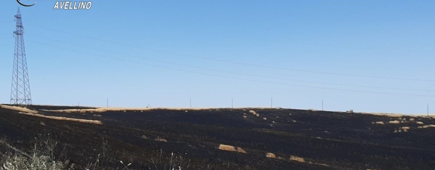 Bisaccia, incastrato da telecamere e gps: denunciato 30enne che mandò in fumo 4 ettari di terreno agricolo
