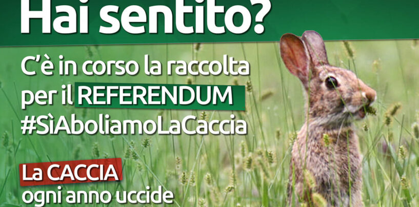 Sabato e domenica ad Avellino raccolta firme contro la caccia