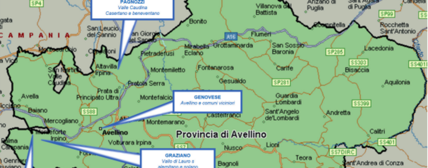 Appalti e aste giudiziarie: in Irpinia i clan s’infiltrano sempre più. Focus anche su Pratola Serra