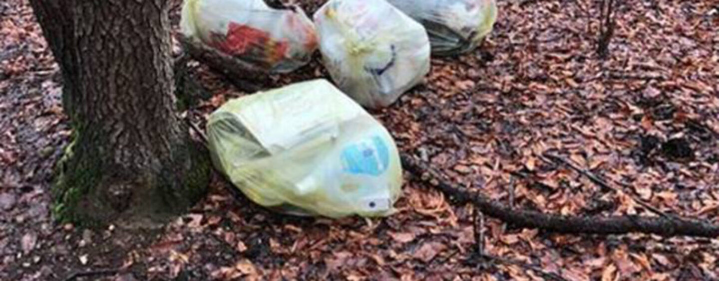 Abbandona rifiuti nel Parco Regionale dei Monti Picentini: beccato dalle fototrappole