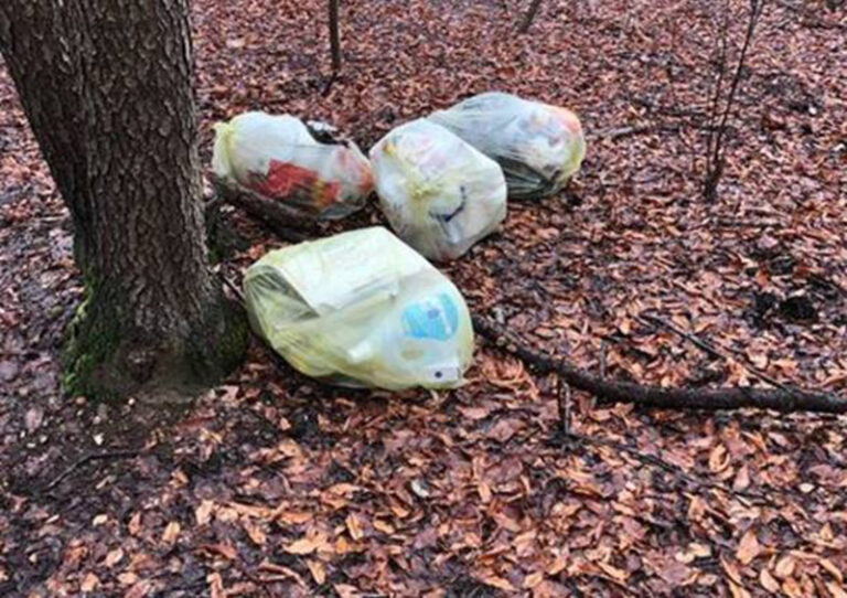 Abbandona rifiuti nel Parco Regionale dei Monti Picentini: beccato dalle fototrappole
