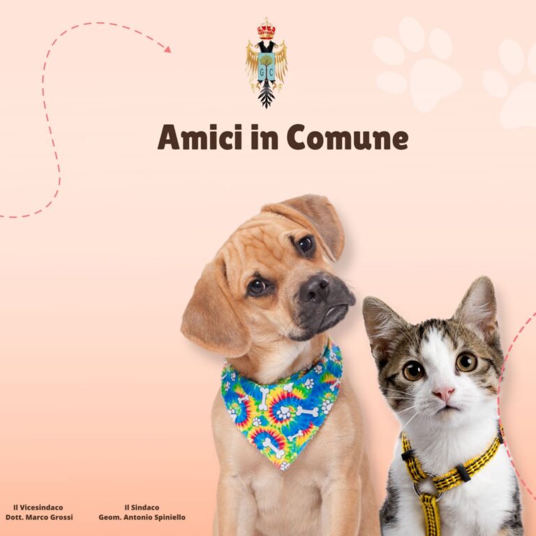 “Amici in Comune”: a Grottolella fatti adottare 25 cagnolini, altri 28 attendono l’affido