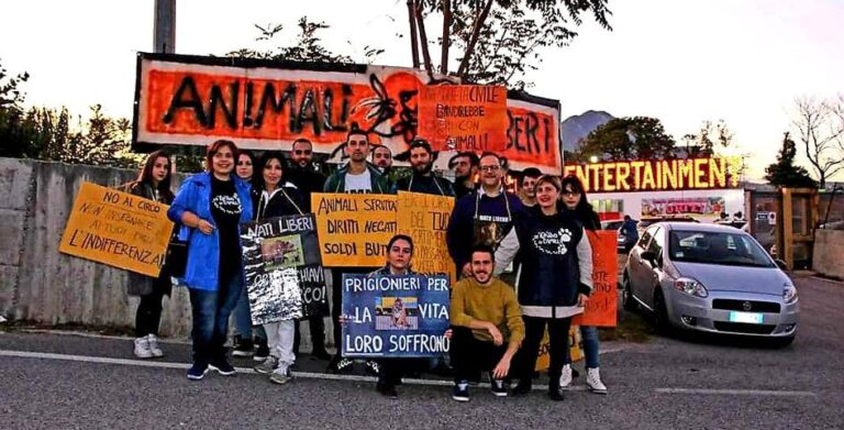 No animali sfruttati al circo: la protesta domani a Monteforte