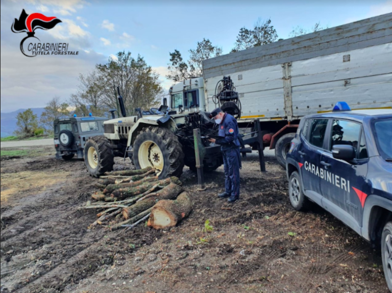 Operazione “Bosco Sicuro” nell’oasi del Taburno: i Forestali contrastano il taglio furtivo