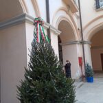 albero natale