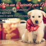 grottolella adozione