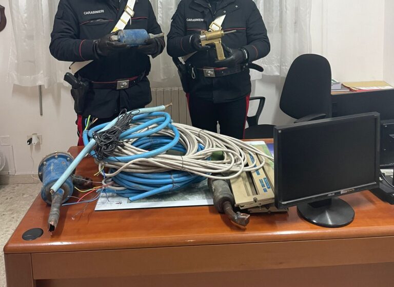 Furto in un mattatoio: arrestati due pastori in flagranza di reato