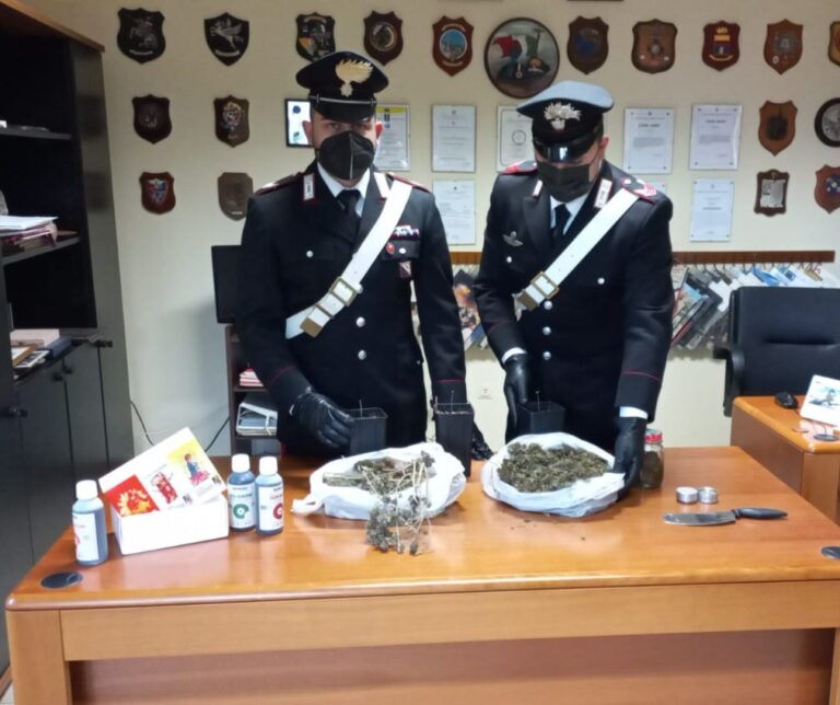 Ceppaloni: un arresto per spaccio di droga